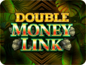 DOUBLE-MONEY-LINK-8