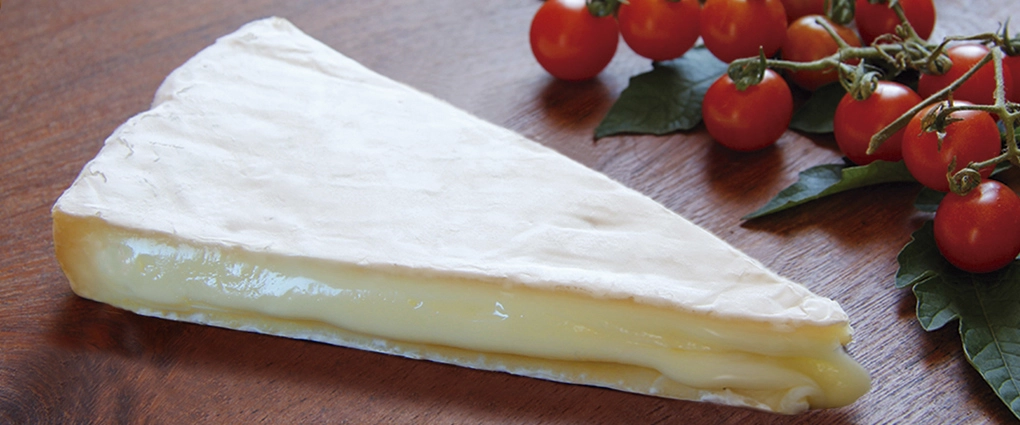 Queso Brie (1)