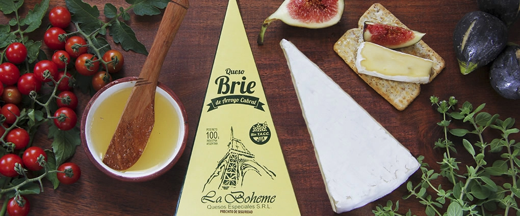 Queso Brie (2)