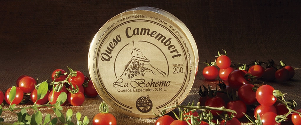 Queso Camembert (1)