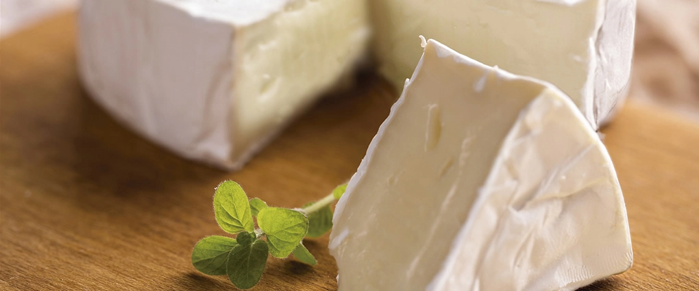 Queso Camembert (2)