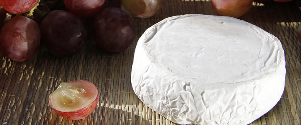 Queso Camembert (3)