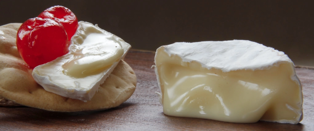 Queso Neufchâtel (1)