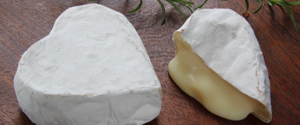 Queso Neufchâtel (2)